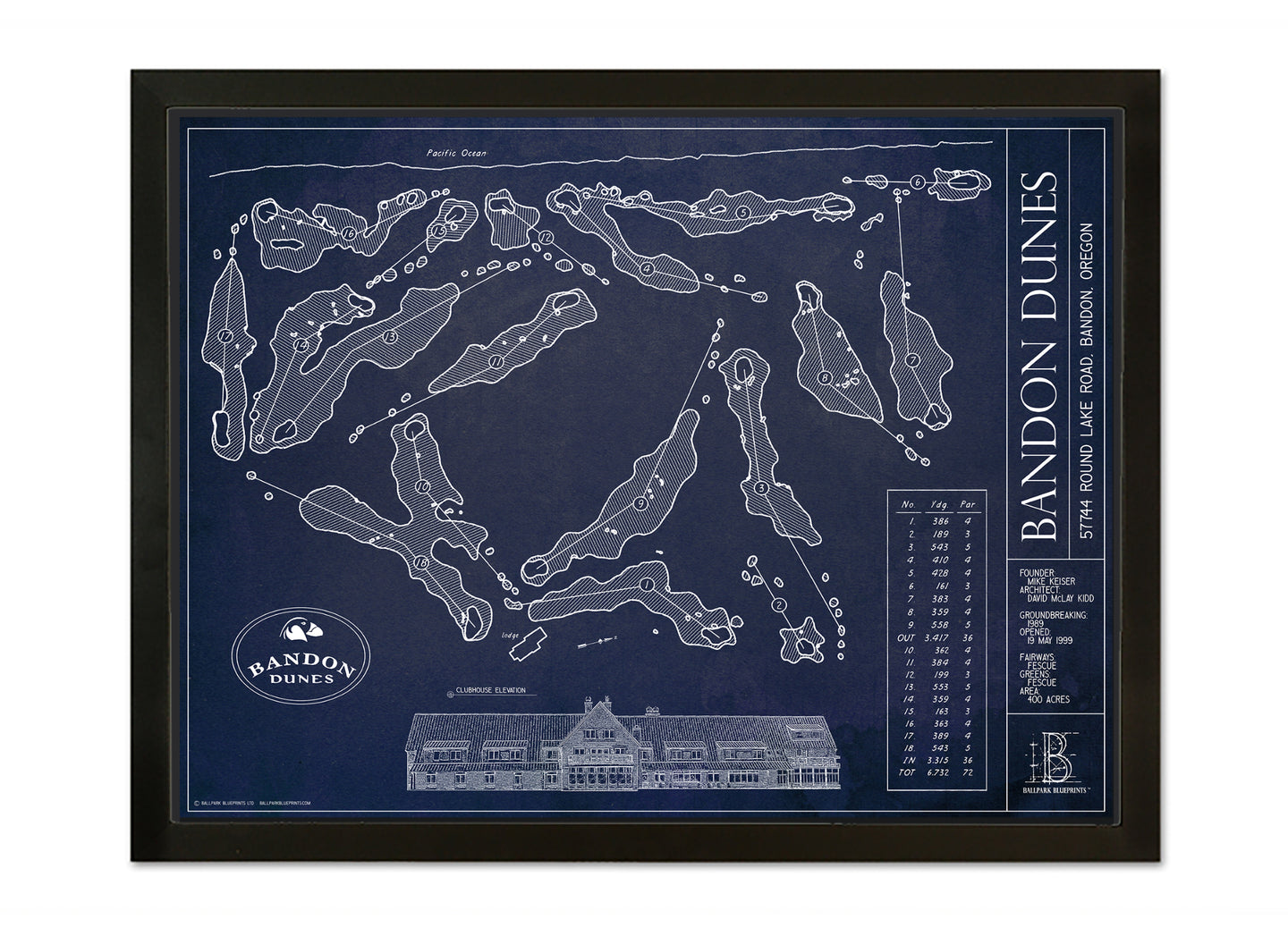 Ballpark Blueprint- Framed Canvas